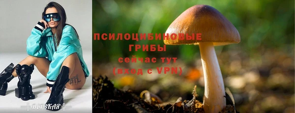 ALPHA-PVP Пересвет