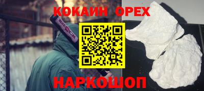 гашик Можга