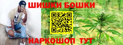 гашик Можга