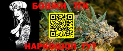 гашик Можга