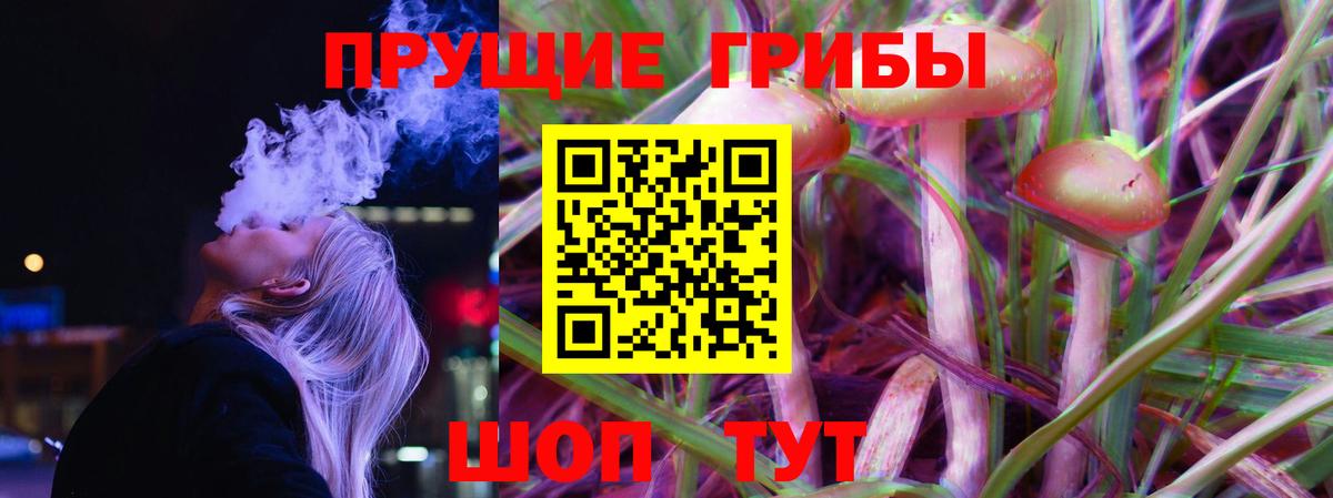 Галлюциногенные грибы MAGIC MUSHROOMS Старая Русса
